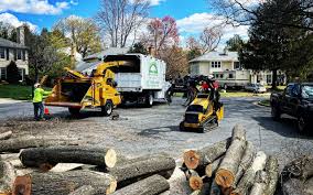 Best Commercial Tree Services  in Egypt Lake Leto, FL